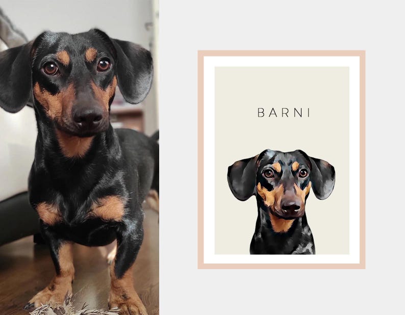 Sulu Boya Pet Portre – Modern Duvar Sanatı