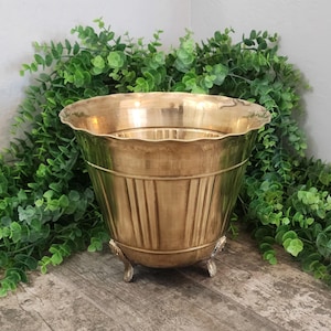 May include: A polished brass planter featuring a scalloped rim, vertical ribbed detailing along the body, and three small decorative feet. The metallic vessel has a wide opening and a tapered base, showcasing a warm, reflective golden finish.