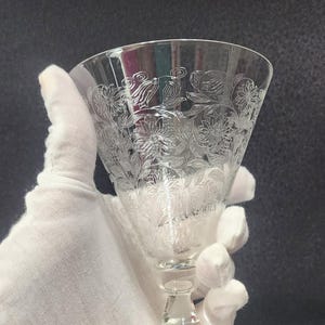 May include: Clear glass goblet with etched floral design. The goblet has a flared bowl, a stem, and a round base. The floral pattern covers the bowl of the glass. The glass is held by a gloved hand against a dark background.