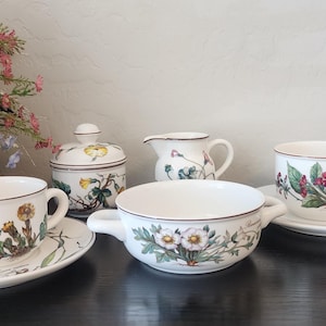 Villeroy and Boch Botanica Replacement Pieces - Choose Pattern & Piece - Luxembourg Fine China