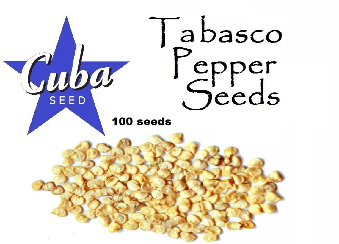 Tabasco Pepper Seeds 100 Etsy