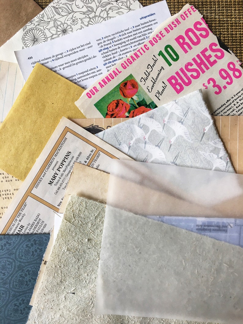 junk journals or general stationery lovers. bullet journals Punky Passport Insert for traveler/'s notebook