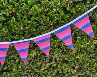 Bisexual Pride Banner - Pride Flag - LGBTQ - Bi Flag Bunting - Queer Pride