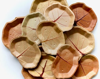 Sea Grape Palm Leaf Plates | 250 pcs | Disposable Eco Friendly Tableware | Biodegradable Compostable