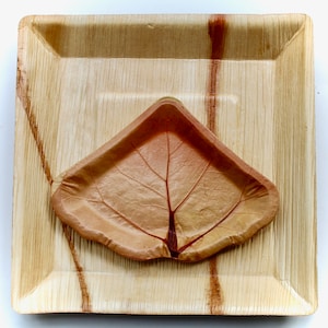 party palm leaf plate and Sea grape leaves 7&quot; Square deep 10&quot; -   disposable - Biodegradable - compostable
