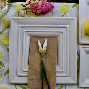 Ecoeleganttableware25 Pic 10&quot; Squre  Sugarcane and 25 pic 8&quot; Squre and 25 pic 6&quot; disposable - Biodegradable - natural plates - eco -frindly