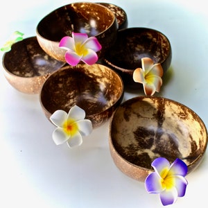 party packaging Jumbo coconut Bowl 6  Pices  Handcraft Shell