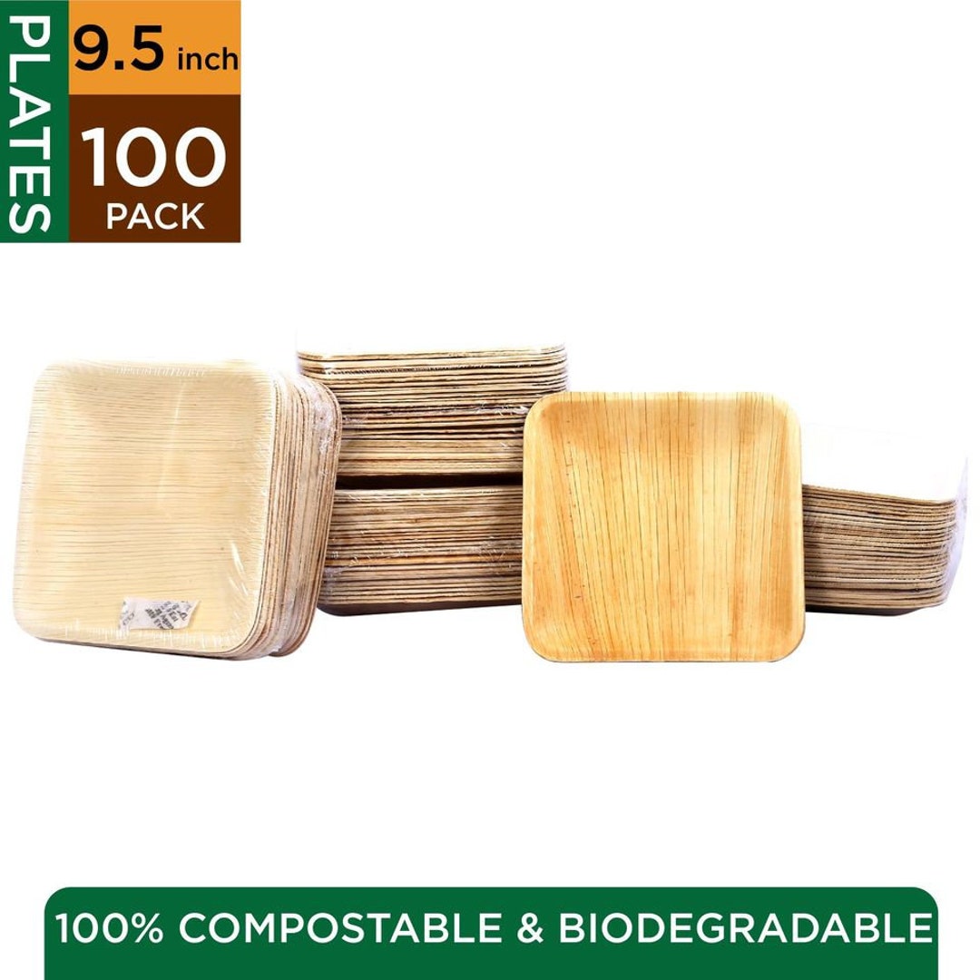 Palm Leaf Square Plates | 100 Pcs 9.5" | Disposable Eco Friendly Plates ...