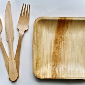 party pack palm leaf plates 10 pices Square 7&quot;  and 30 pices cutlery composable ecofrindly