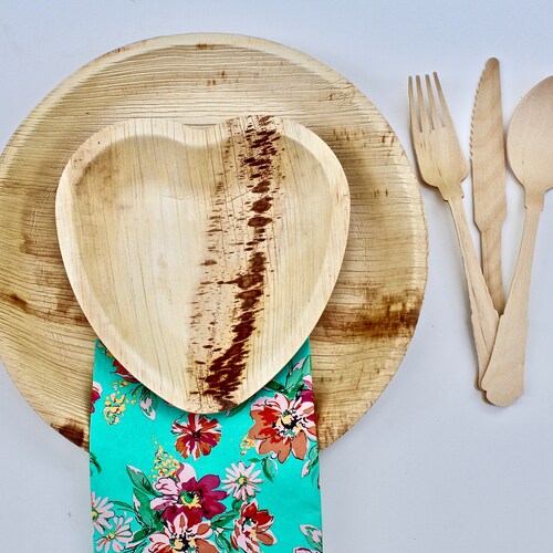Disposable plates 50 pices 9.5