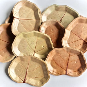 natural Leave Plate Sea Grape Look Paper Snack plate Stylish - Unique - Biodegradable - compostable