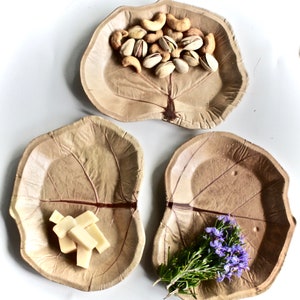 Platos de hoja desechables 25 piezas de uva de mar real Leaf 7 &quot;para postre y comida seca muy elegante y elegante. Plato de hoja de palma ecológico