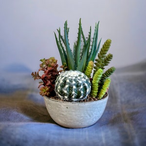 Faux Cactus Arrangement Blue Bowl Artificial Succulent Centerpiece Gift For Mom Faux Succulent Wedding Gift For New Home Fake Cactus Bowl
