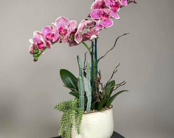 Faux Orchid Arrangement Bathroom Plant Fake Cactus Tropical Decor Coastal Centerpiece Faux Succulents Gift Plant Lover Island Tabletop Beach