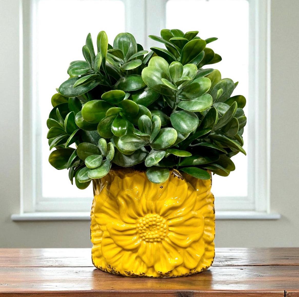 Faux Artificial Jade Plant - Etsy