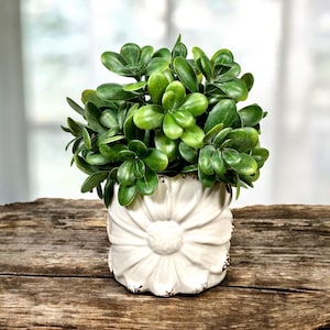 May include: A small artificial plant with rounded, vibrant green leaves housed in a white ceramic pot. The pot features a raised, embossed floral petal design around its exterior with subtle brown distressed detailing along the edges.
