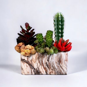 Faux Cactus Centerpiece Faux Succulent Arrangement Gift for New House Western Plant Decor Southwest Cactus Gift for Gardener Succulent Decor