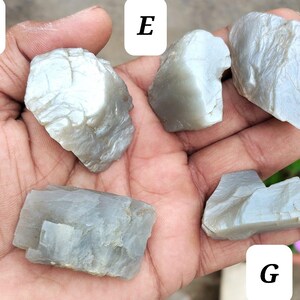 May include: Five raw, translucent, light gray moonstone specimens labeled D, E, F, G, and H. Each stone features an irregular, jagged shape with a smooth, reflective surface texture and visible internal crystalline layers and fractures.