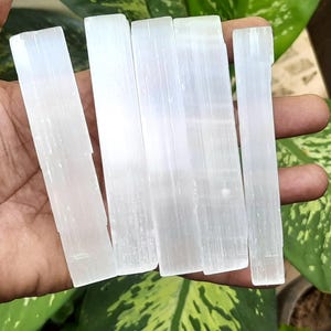 May include: A set of six white selenite wands, also known as selenite sticks, are held in a hand. The wands are smooth and have a natural, striated texture.