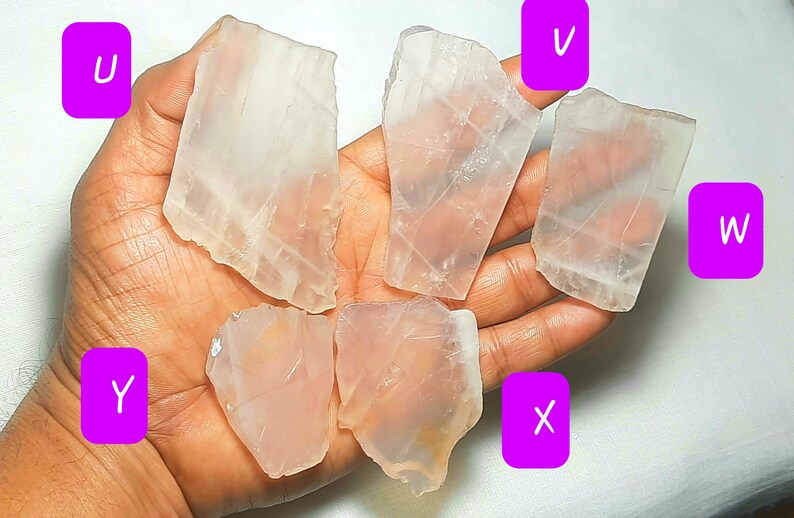 May include: Six pieces of clear, translucent selenite crystal, some with a slight pink hue, arranged on a hand. The crystals are labeled with letters U, V, W, X, Y.