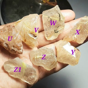 May include: Seven pieces of raw, clear quartz crystals with gold rutile inclusions. The crystals are various shapes and sizes. The crystals are labeled with letters U, V, W, X, Y, Z, and Z1.