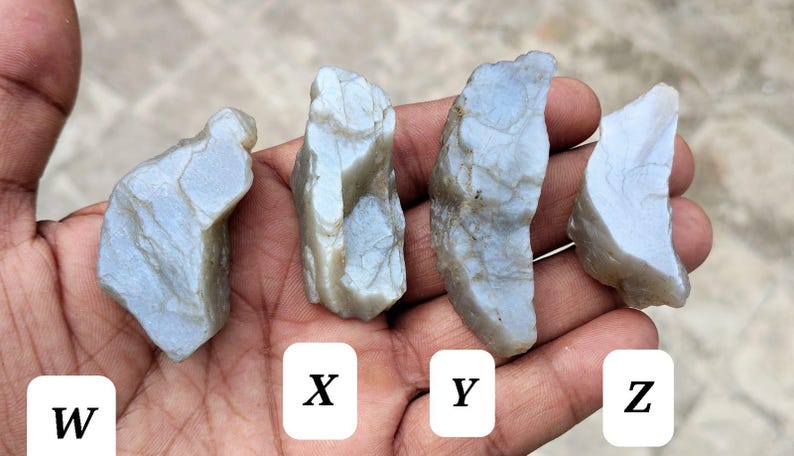 May include: Four rough, pale blue-grey stones labeled W, X, Y, and Z. Each stone features an irregular, jagged shape with a translucent, waxy texture and visible surface fractures. The stones are arranged in a row, displaying variations in size and form.