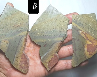 May include: Three pieces of banded agate, labeled A, B, and C, with a variety of colors including green, brown, yellow, and red. The agate is translucent and has a natural, rough texture.