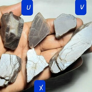 Puede incluir: Una colecci&oacute;n de siete piedras grises iridiscentes, algunas con un brillo m&aacute;s plateado, dispuestas en una mano. Las piedras est&aacute;n etiquetadas con las letras T, U, V, W, X, Y.