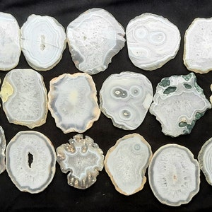 May include: A collection of 17 white agate slices with various patterns and textures. The slices are round and have a natural, polished finish.