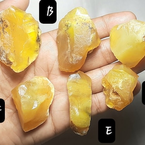 May include: Six pieces of yellow amber, some with a translucent quality, are displayed on a hand. The amber pieces are various shapes and sizes.