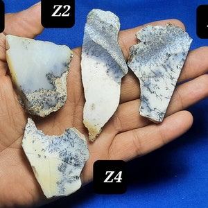 Natural Dendritic Opal Rough Gemstone,Dendritic Opal Raw Slices,Dendritic Opal Slab,Healing Dendritic Opal Specimen,Dendritic Opal Crystal