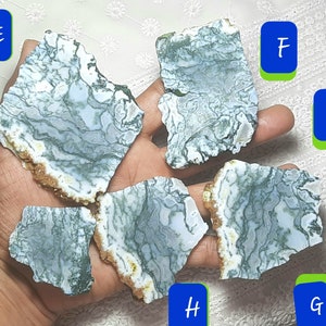 May include: Five pieces of green and white agate, with a white background. The agate is translucent and has a swirling pattern. The pieces are labelled E, F, G, H, and I.