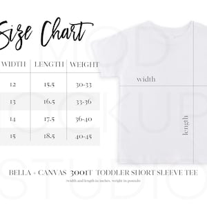 Tabla de tallas de Bella Canvas 3001T Mockup / Tabla de tallas de Bella Canvas para jóvenes / Tabla de tallas Bella White 3001T Tabla de tallas / Guía de tallas de Bella Canvas