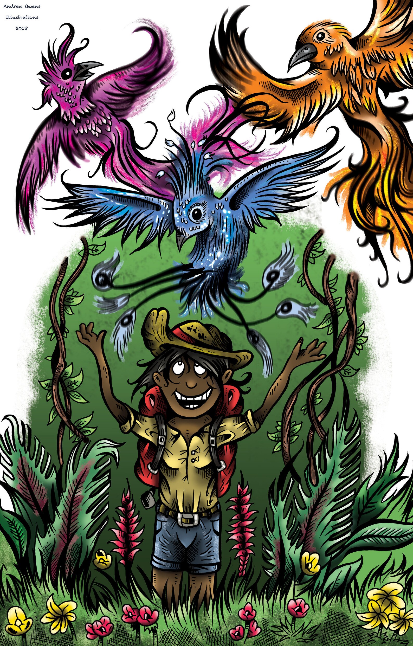 Illustration A4 Print Birds of Paradise Etsy