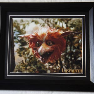 May include: Framed print featuring a creature from the movie Labyrinth. The creature has red and white fur, large eyes, and an open mouth. The print is signed and includes the word "LABYRINTH" at the bottom.