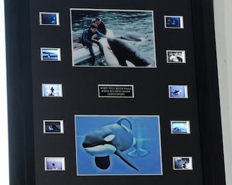 Keiko / Willy, Killer Whale  Film Cell  Mount  Rare Screen  Run Cells Awareness we owe to Keiko