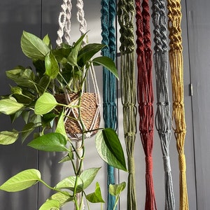 MACRAME PLANT HANGER, fioriera sospesa moderna e minimalista, fioriera per interni con opzioni di colore, regalo ecologico, cotone immagine 2