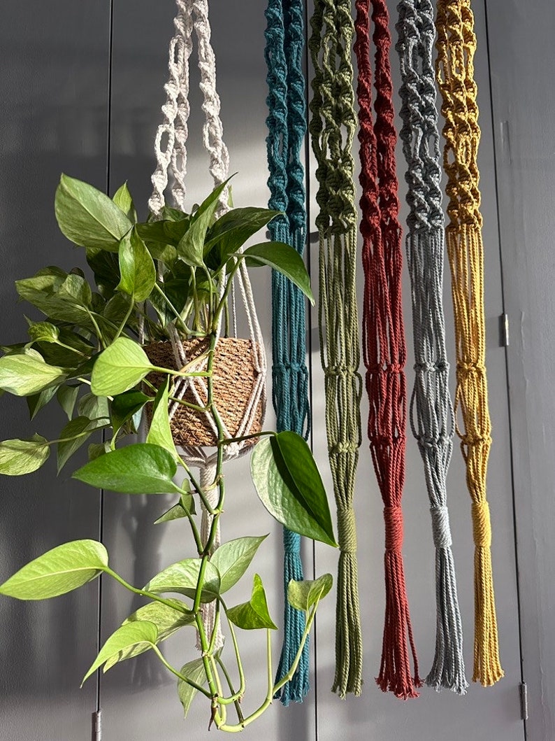 MACRAME PLANT HANGER, fioriera sospesa moderna e minimalista, fioriera per interni con opzioni di colore, regalo ecologico, cotone immagine 2