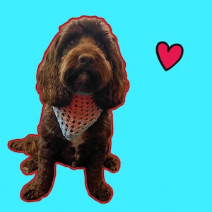 Gehaakte bandana-halssjaal voor hond en kat