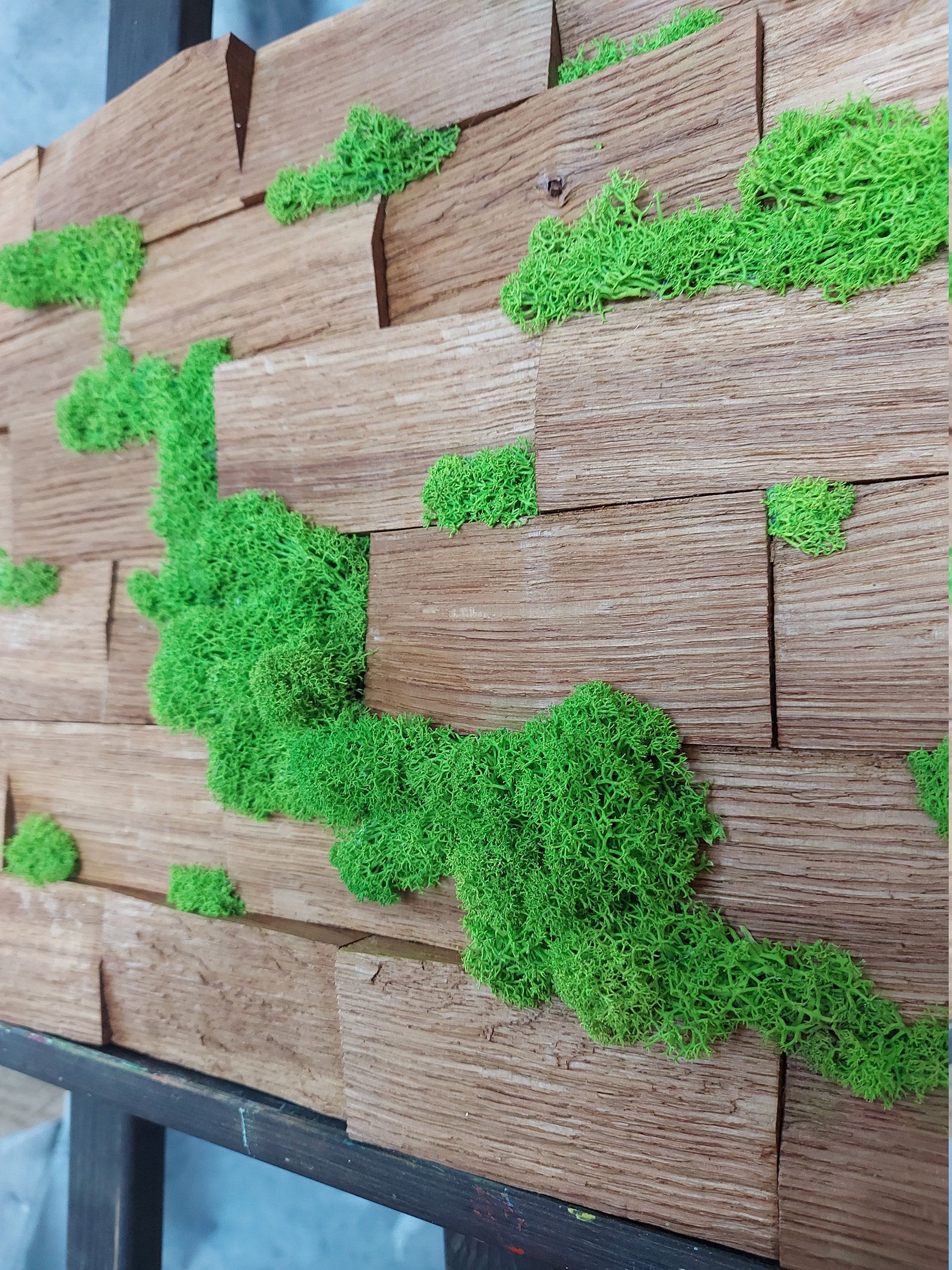 Moss wall art /Wooden panel with live moss /Wood&moss wall Etsy