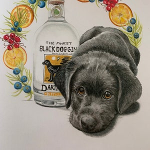 Gin cane nero