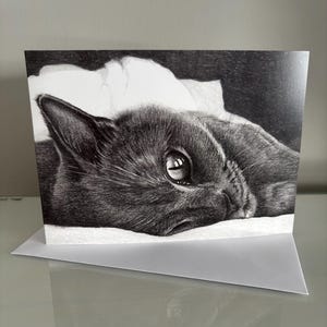Può includere: Un disegno in bianco e nero di un gatto sdraiato su un cuscino. L'occhio del gatto è aperto e guarda direttamente lo spettatore.