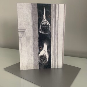Dibujo a lápiz de un spaniel y un collie. Dibujo a lápiz de mis propios perros, que siempre tienen miedo de perderse algo.