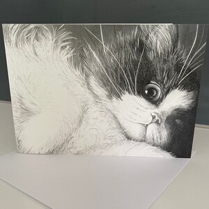 Può includere: Disegno a matita in bianco e nero di un gatto con un occhio aperto, che guarda a destra. Il gatto è sdraiato con la testa appoggiata sulle zampe.