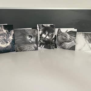 Pu&ograve; includere: Cinque cartoline di auguri in bianco e nero con diversi ritratti di gatti. Ogni cartolina presenta una razza di gatto e una posa diverse.