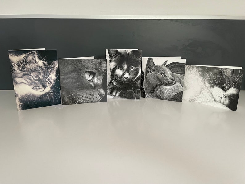 Pu&ograve; includere: Cinque cartoline di auguri in bianco e nero con diversi ritratti di gatti. Ogni cartolina presenta una razza di gatto e una posa diverse.