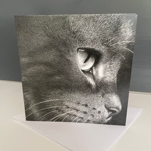 Può includere: Un disegno a matita in bianco e nero di un occhio e un naso di gatto. Il gatto guarda a destra dell'immagine.