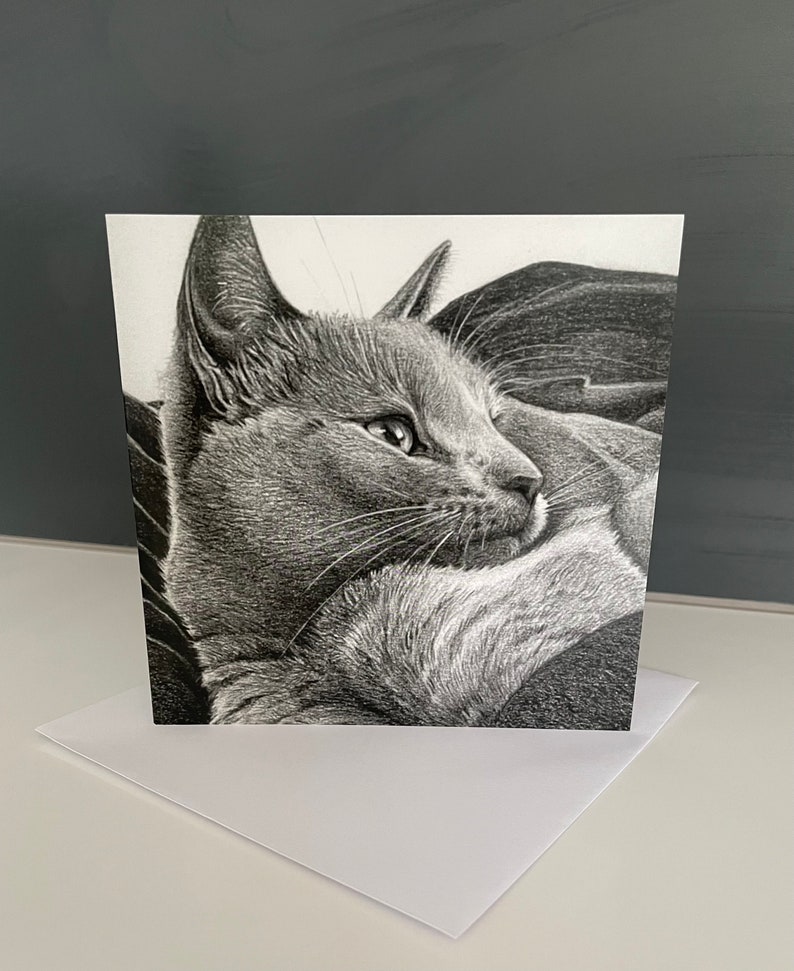 Pu&ograve; includere: Un disegno a matita in bianco e nero di un gatto sdraiato e che guarda a destra. La pelliccia del gatto &egrave; dettagliata con ombreggiature.