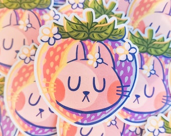 Cute Strawberry Cat Sticker – Vinyl Sticker – Stationery – Waterproof – Kawaii – Laptop Sticker – Strawberry Sticker  – aoyuna