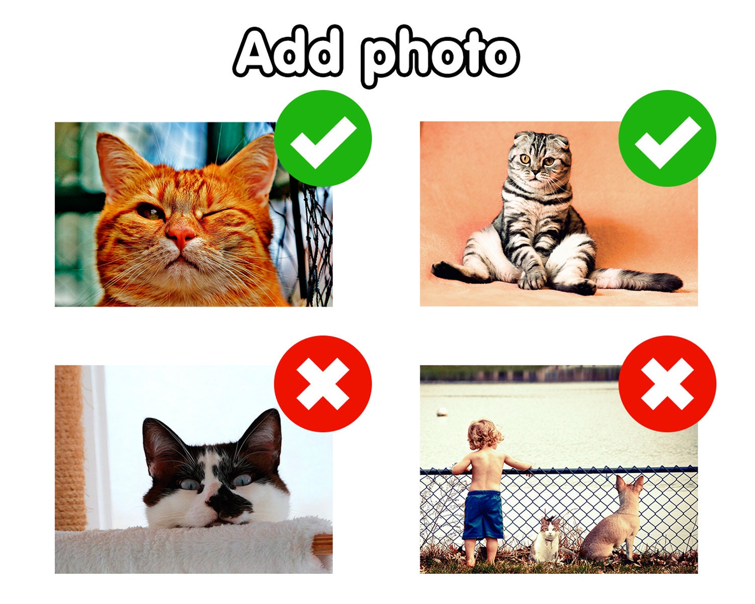 Hope You Like Cats Doormat Custom Doormat Personalized Etsy